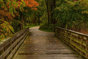 Keansburg-Henry-Hudson-Trail